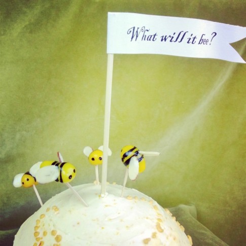 On this gender reveal cake, these busy bees circle a pennant asking a mischevious question: what will it bee?